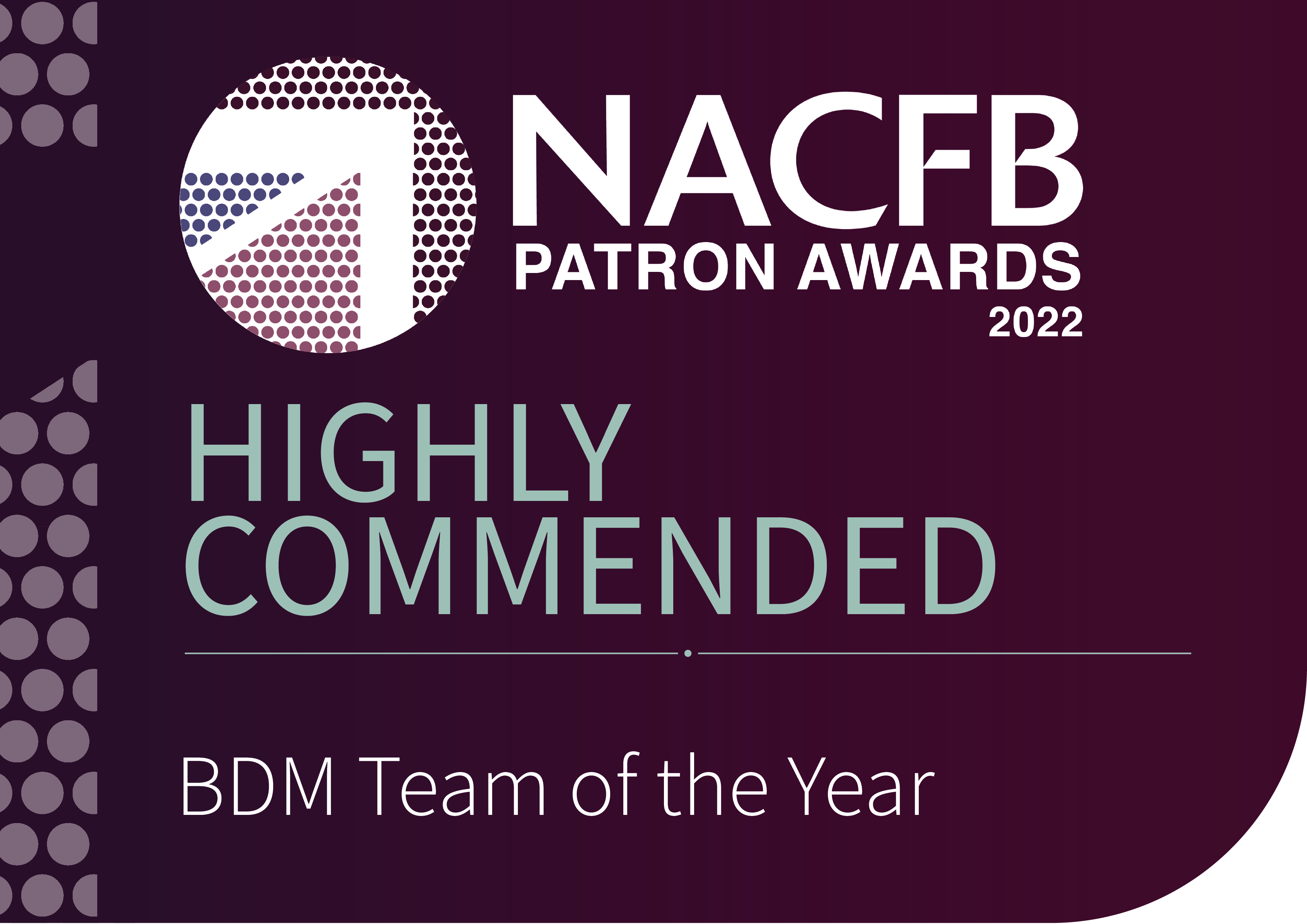 Patron Awards - Highly Commended - BDM Team of the Year (1)
