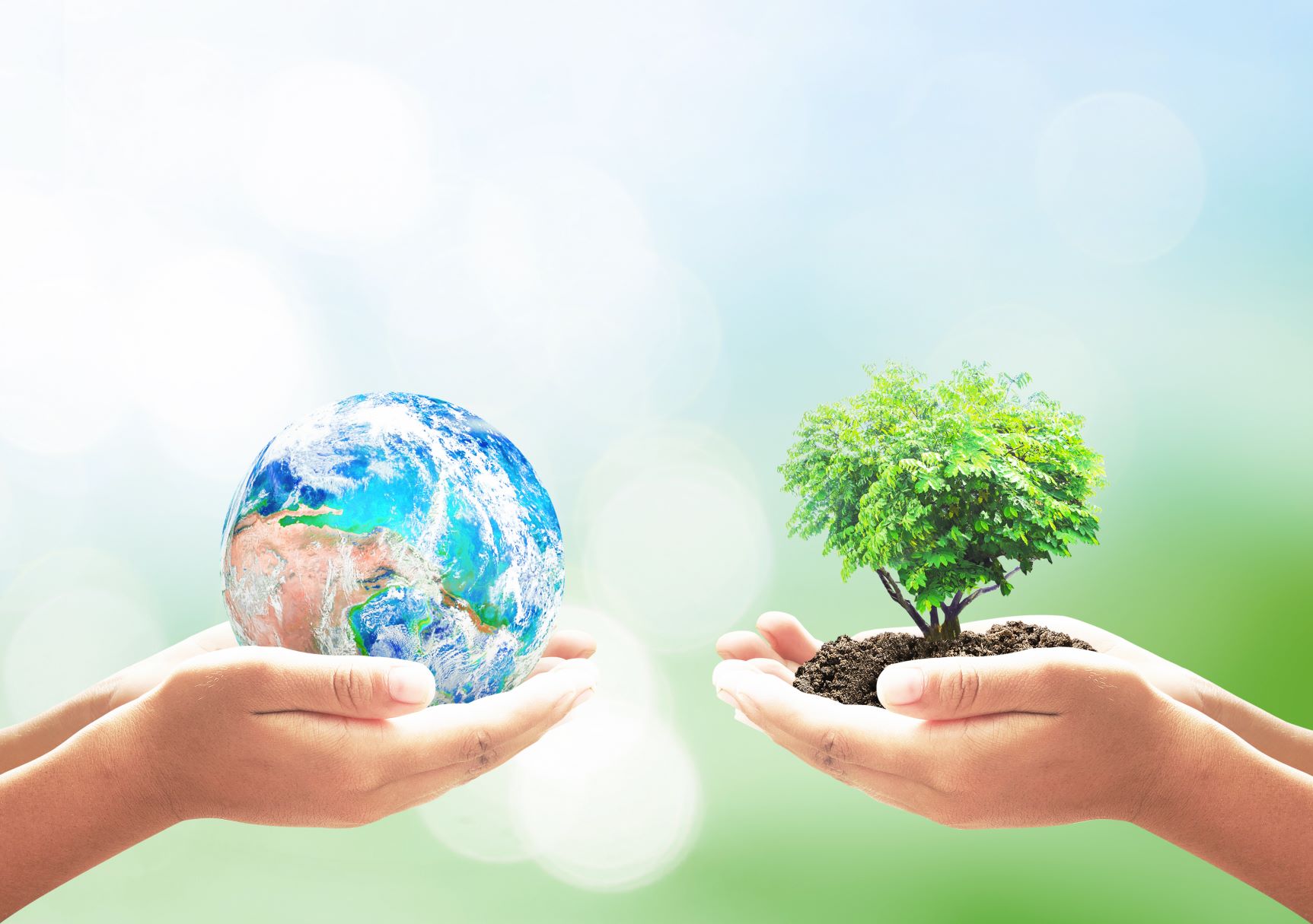 globe hands eco sustainable